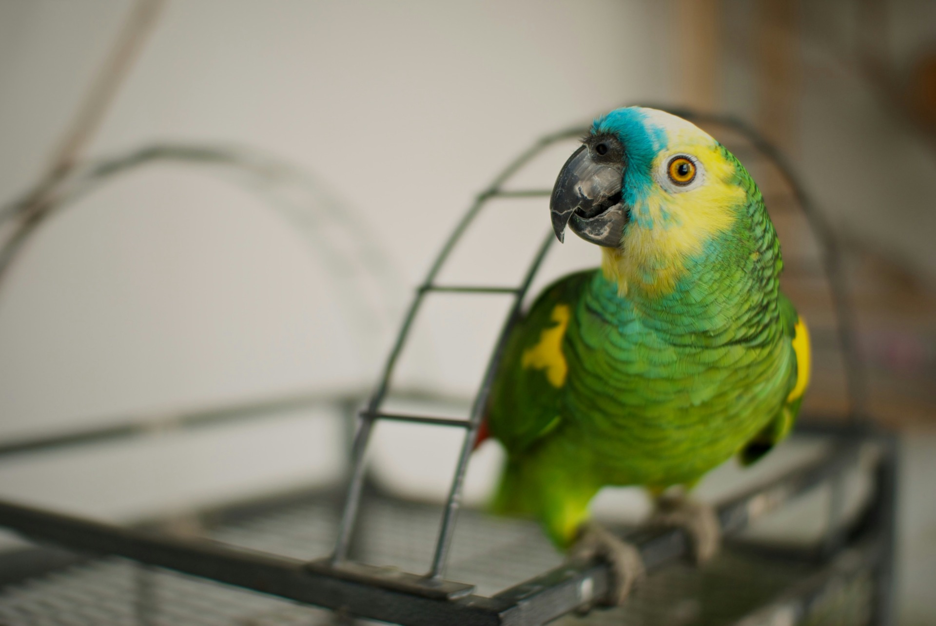 david-vives-r1dkaDXdCDo-unsplash